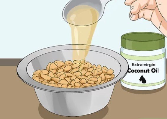 does coconut oil kill fleas